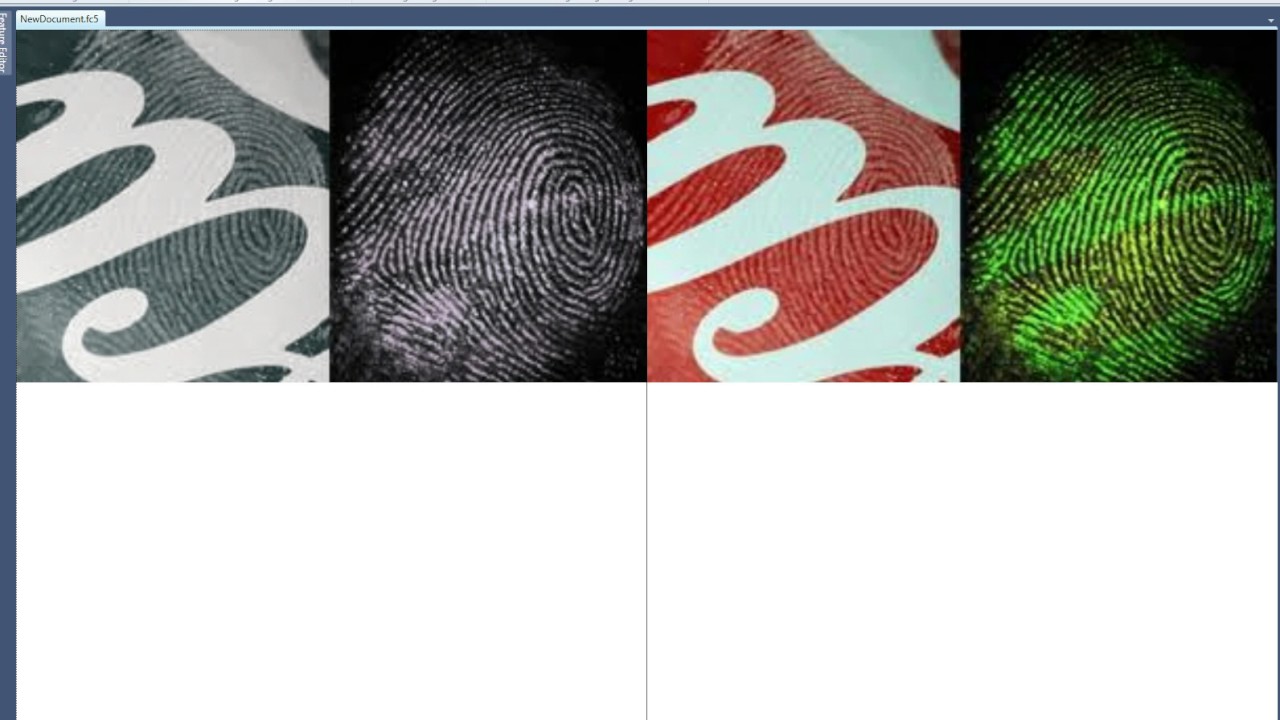Embedded video 1